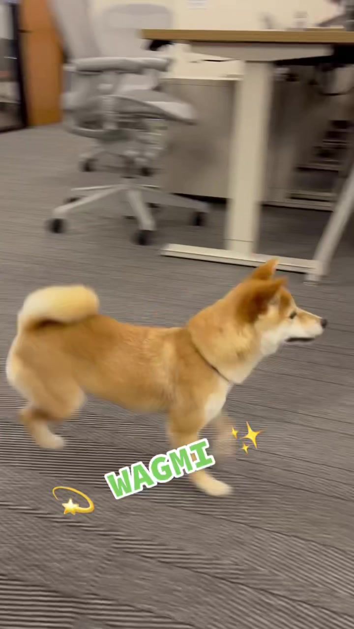 Video post by @robinhoodapp on TikTok