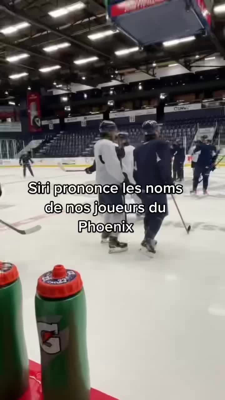 Video post by @phoenixsherbrooke on TikTok