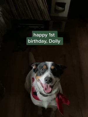 Video post by @laurenbadenhoop on TikTok