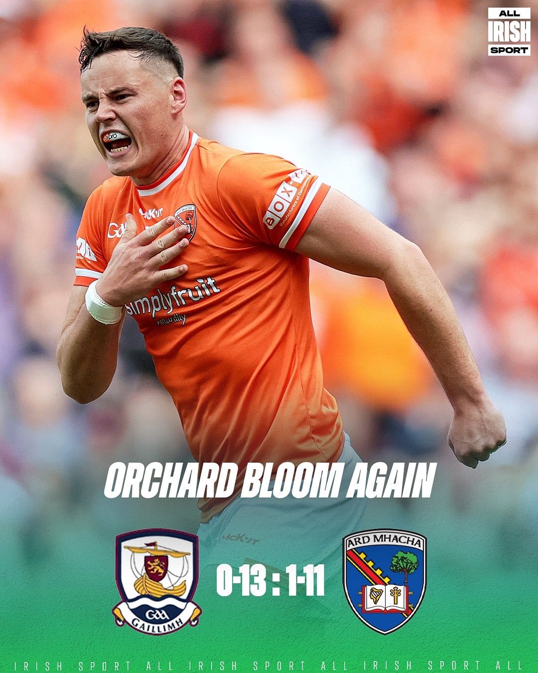 Image post by @allirishsport on TikTok