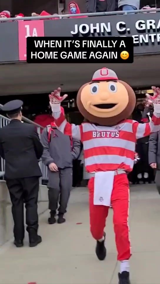 Video post by @osubrutusbuckeye on TikTok
