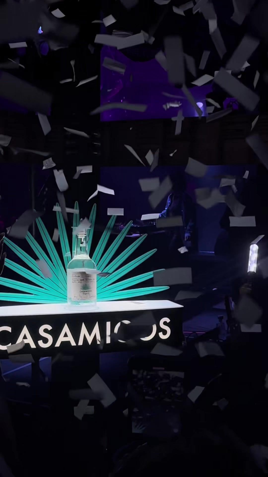 Video post by @allisonwylie on TikTok