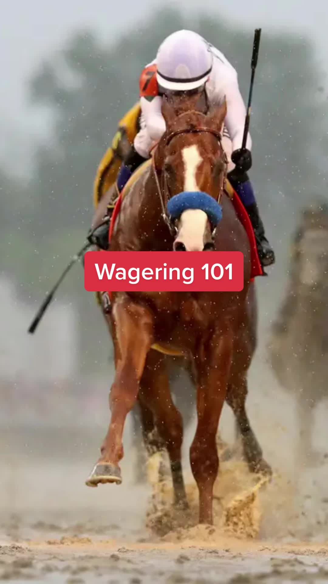 Video post by @kentuckyderby on TikTok