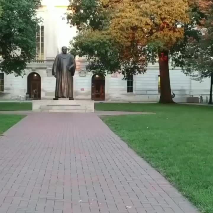 Video post by @curastory on Facebook