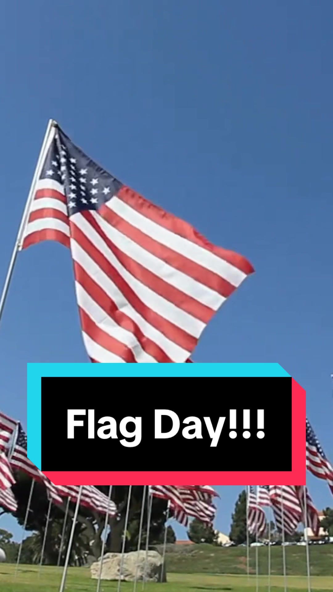 Video post by @bugbustersusa on TikTok