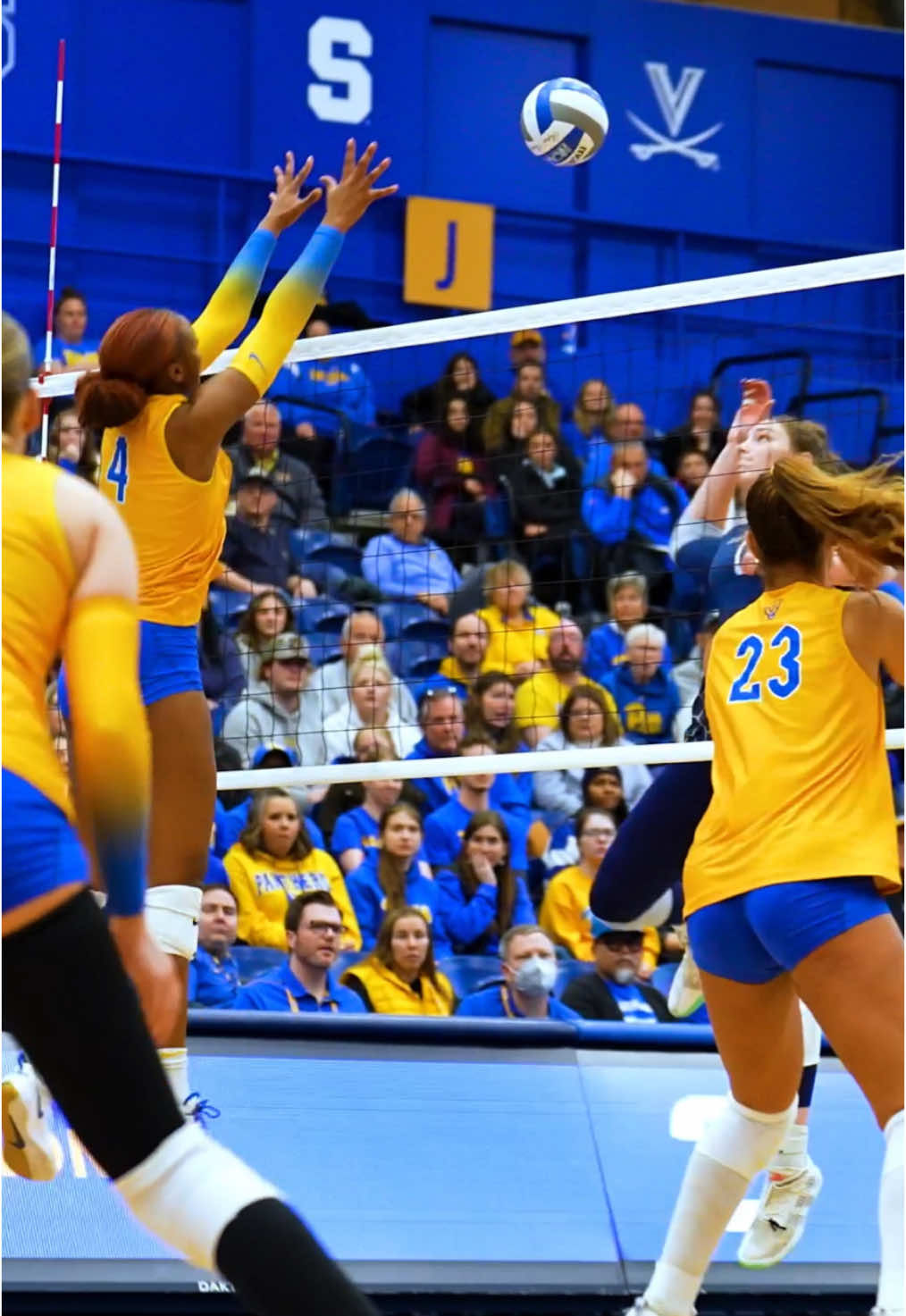 Video post by @winterxst on TikTok