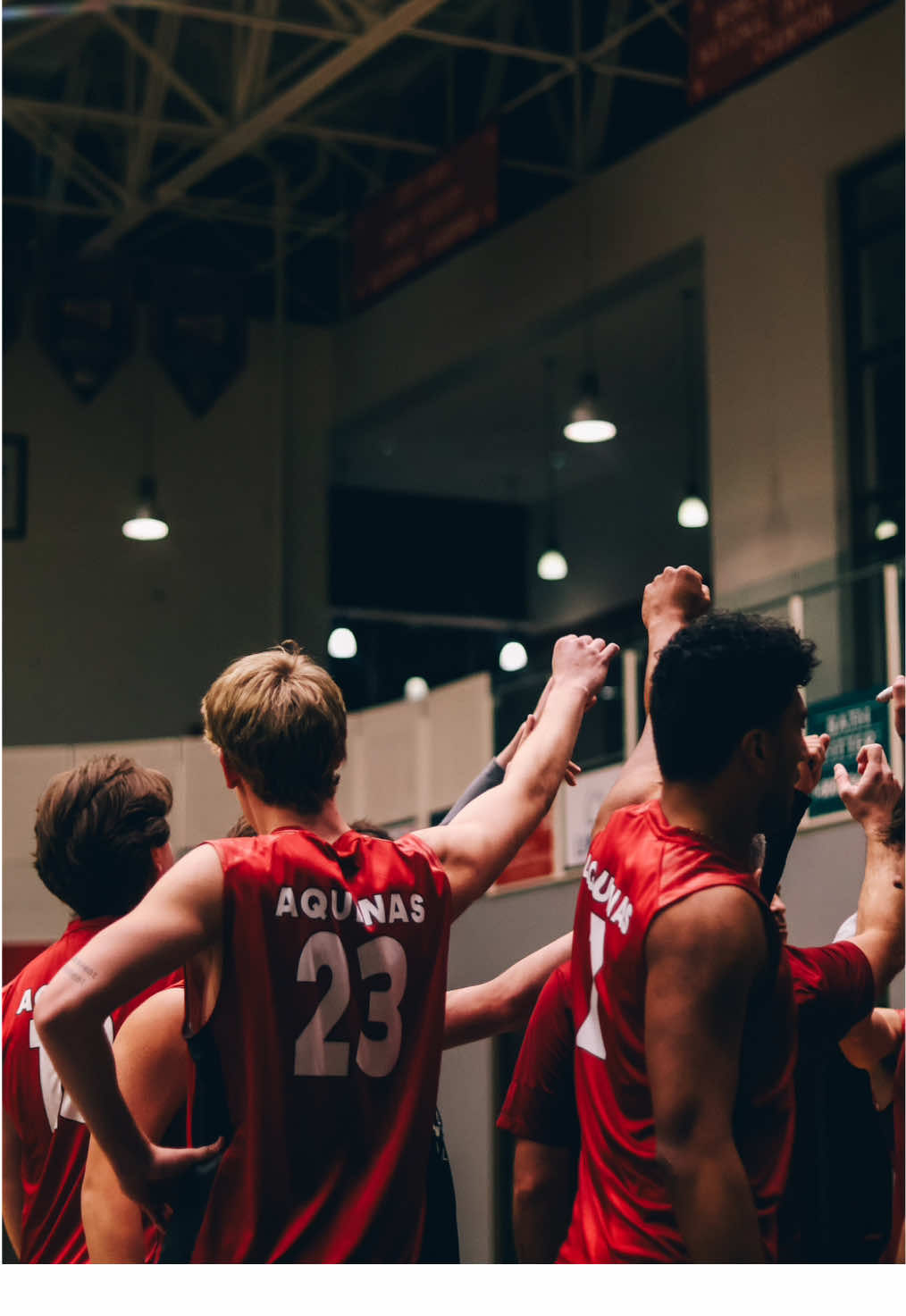 Video post by @aquinasmvb on TikTok