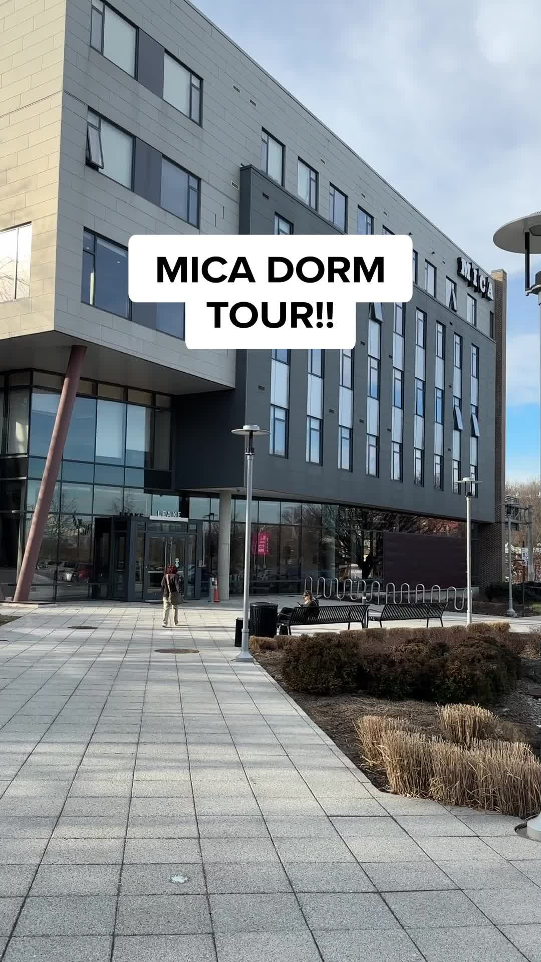 Video post by @micaopenstudies on TikTok