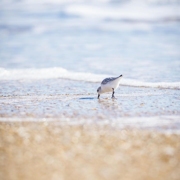 Image post by @jacksonploegerphotography on Facebook