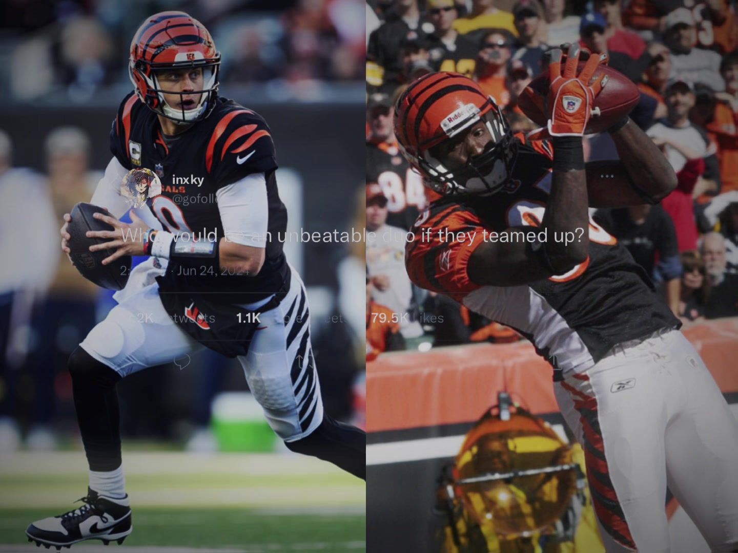 Video post by @bengals on TikTok