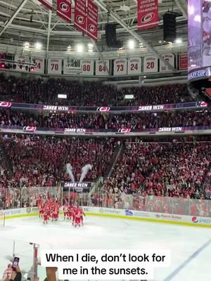 Video post by @itsdaniclardy on TikTok