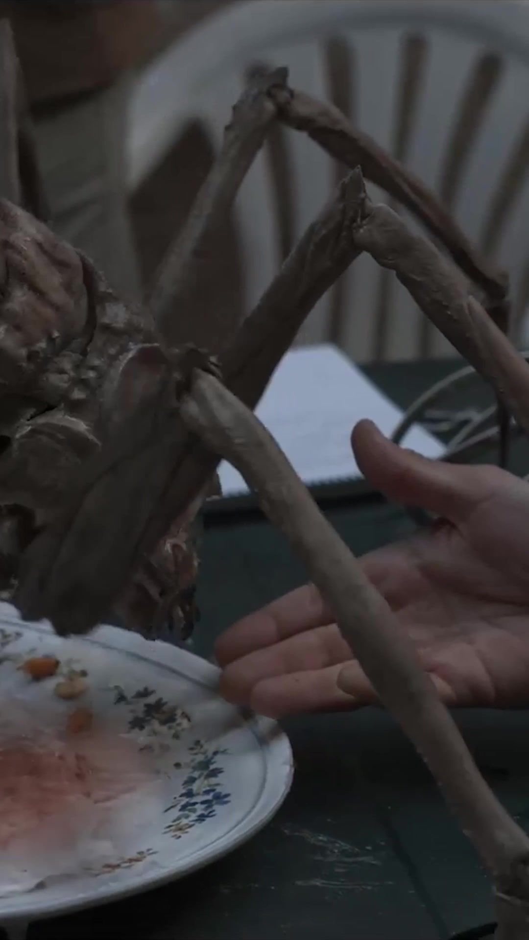 Video post by @hbo on TikTok