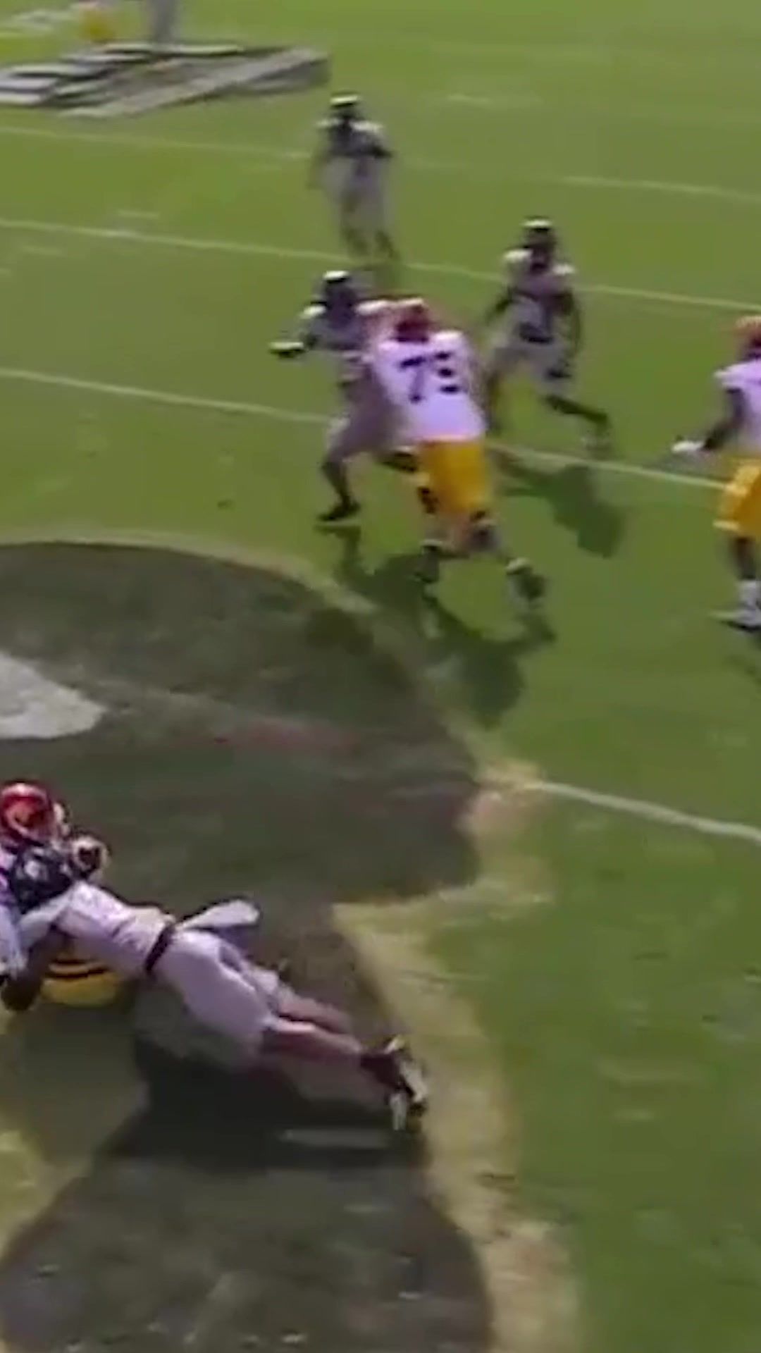 Video post by @cfbonfox on TikTok