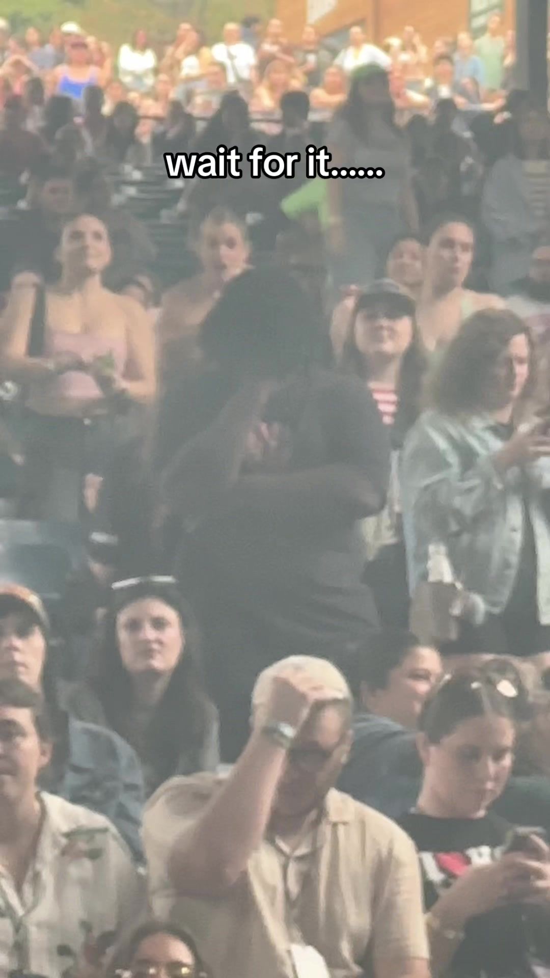 Video post by @allthingsgofestival on TikTok