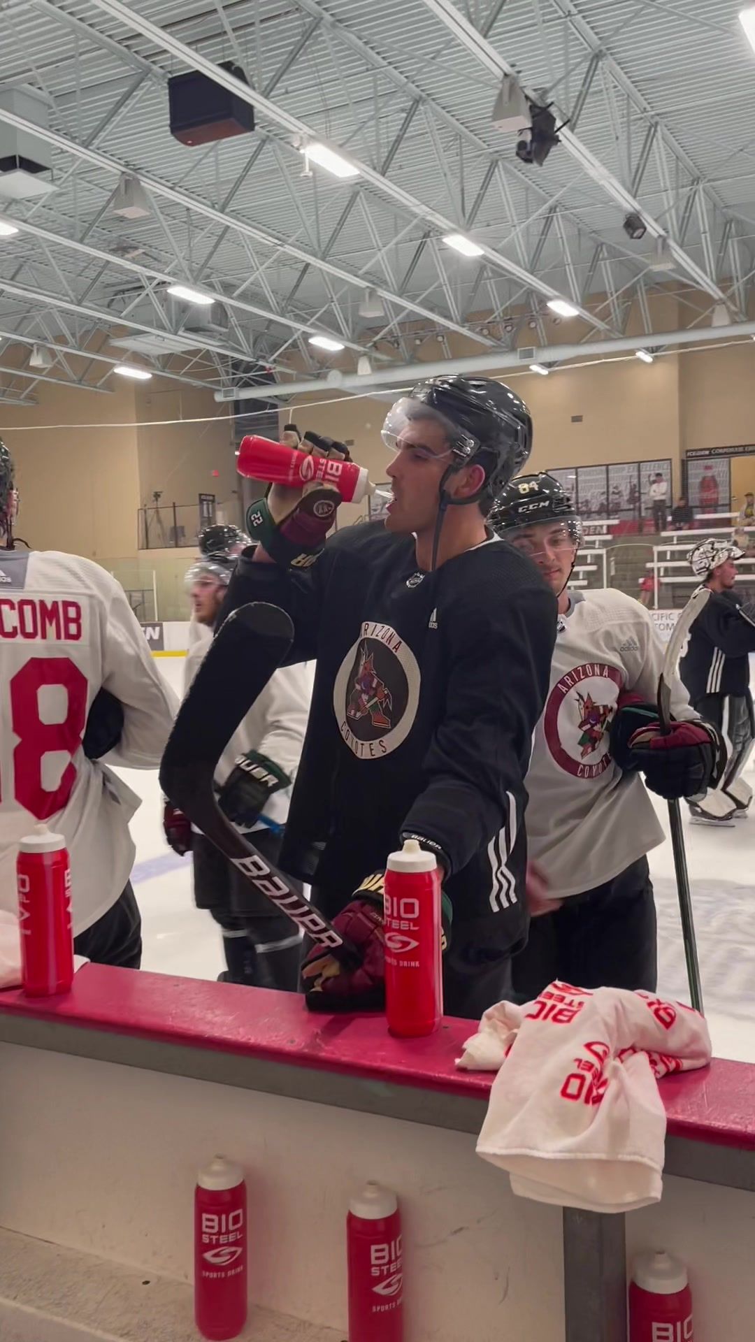 Video post by @nhlcoyotes on TikTok