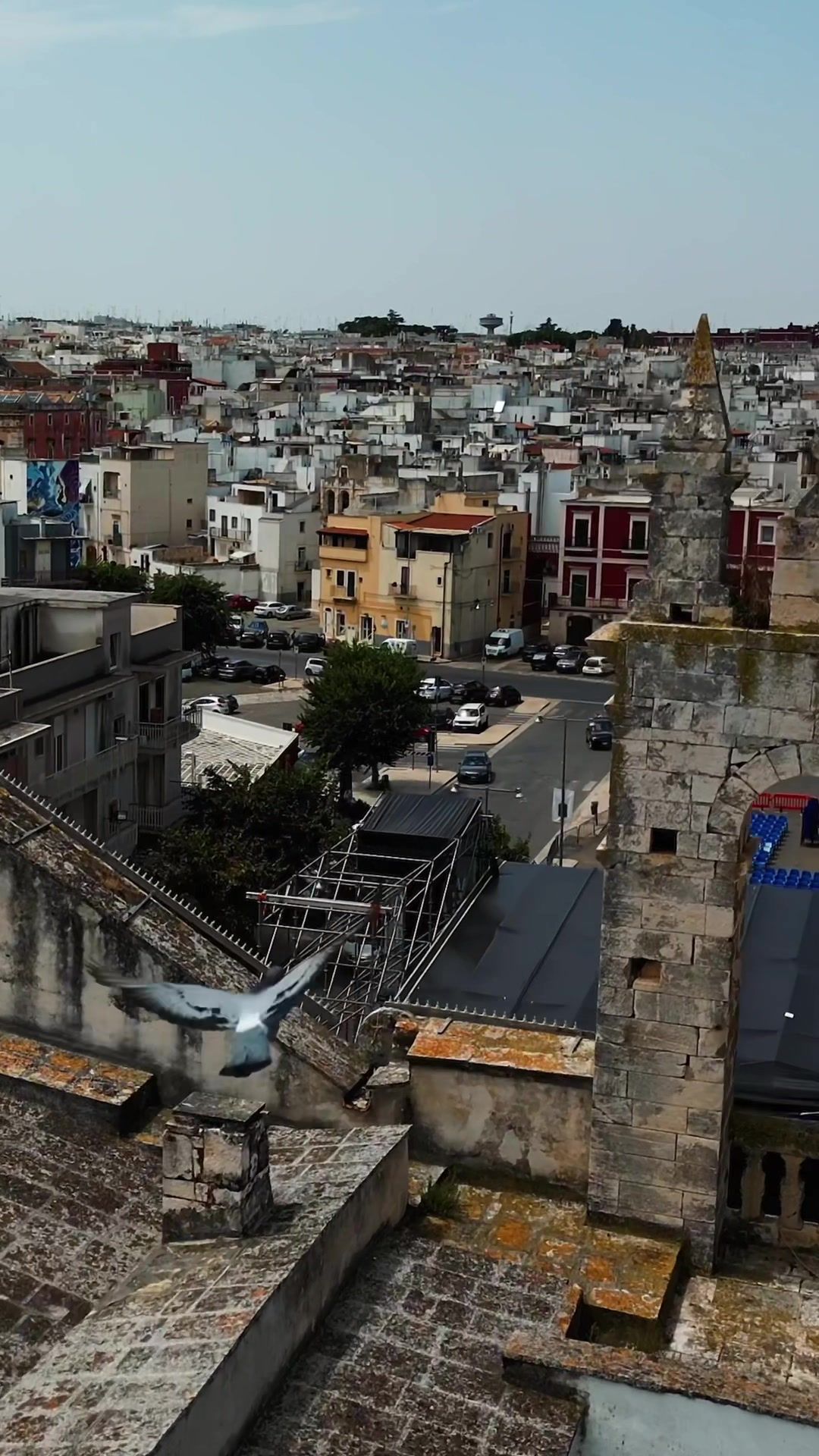 Video post by @kade.carroll on TikTok