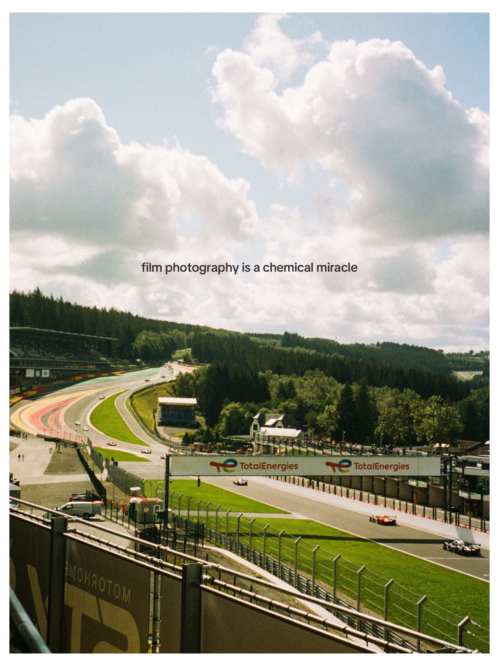 Video post by @sabinerojas on TikTok