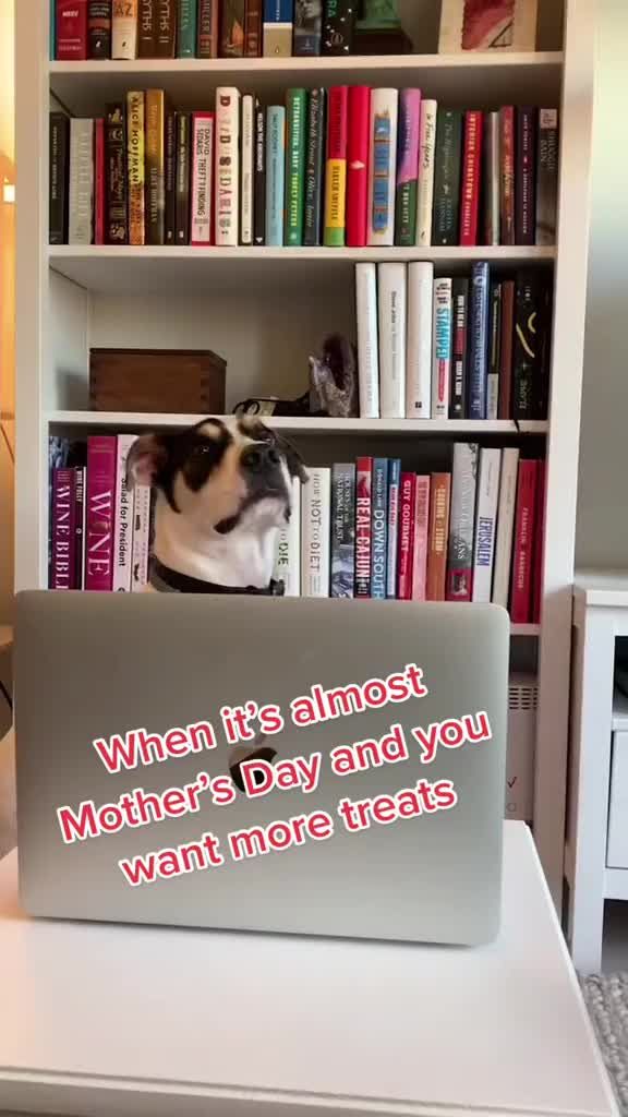 Video post by @adobeexpress on TikTok