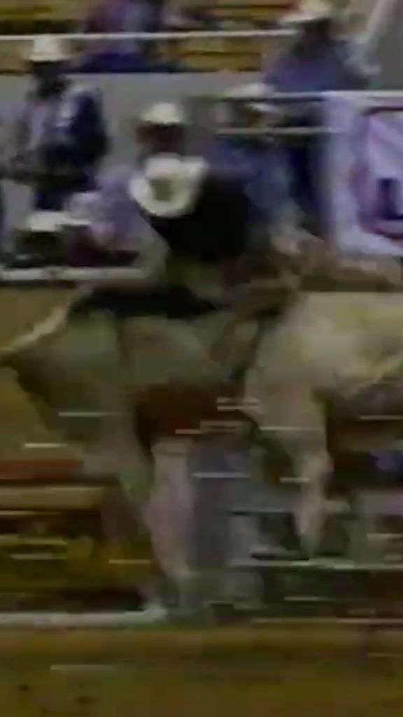 Video post by @pbr on TikTok