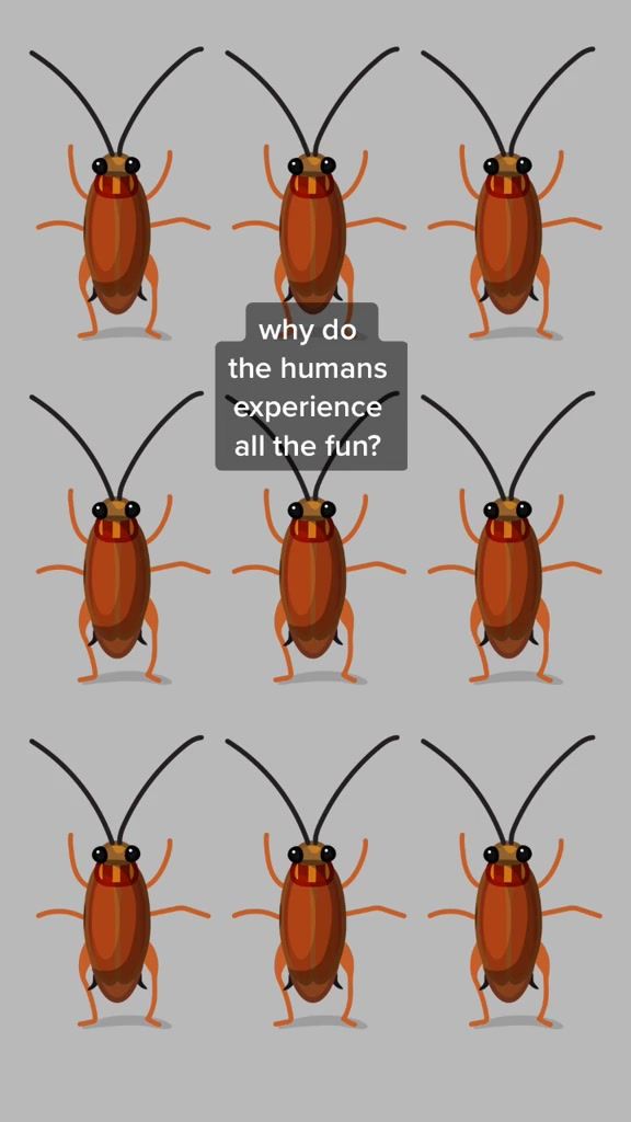 Video post by @ortho on TikTok