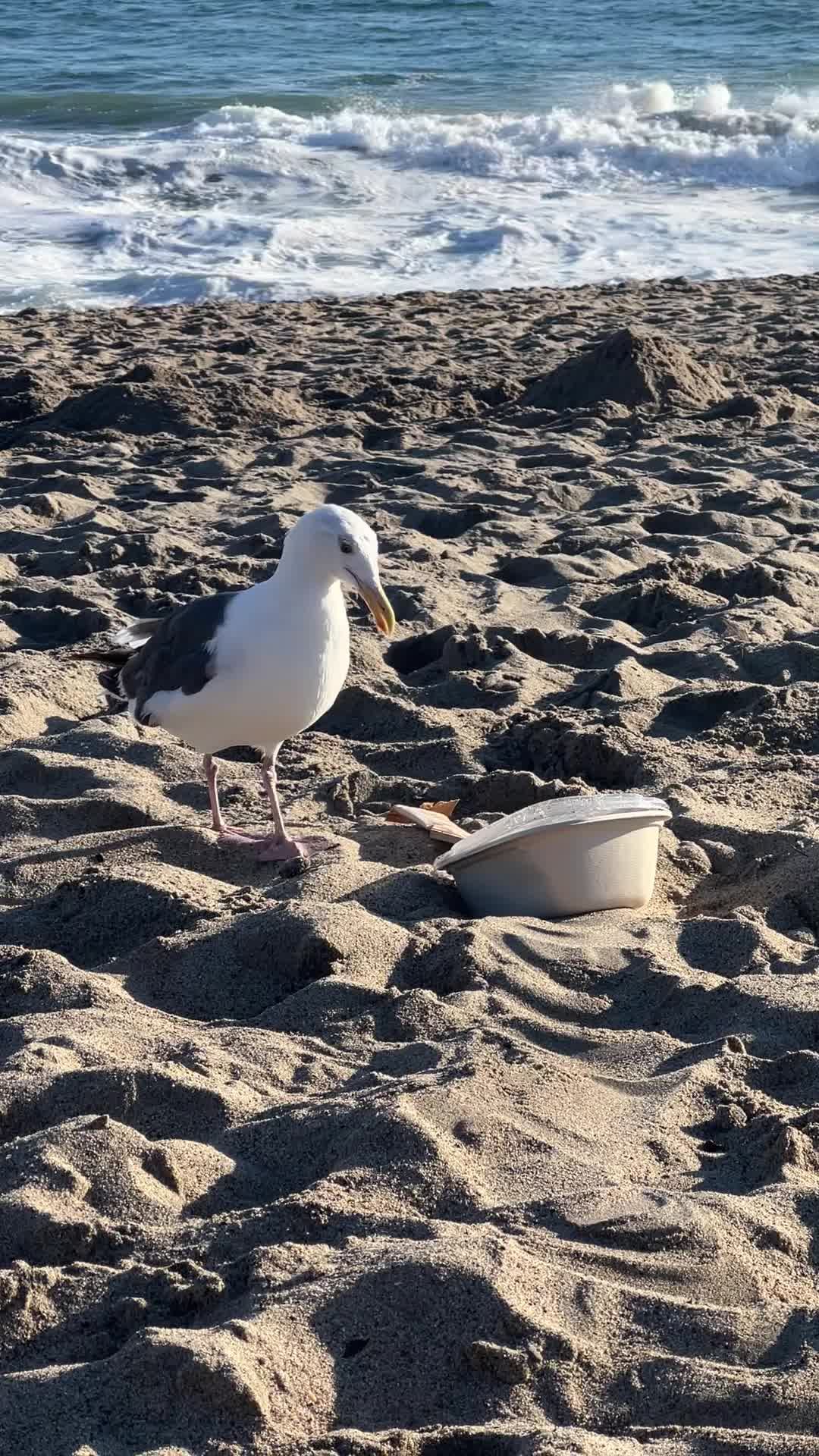 Video post by @BlakeKShow on Facebook