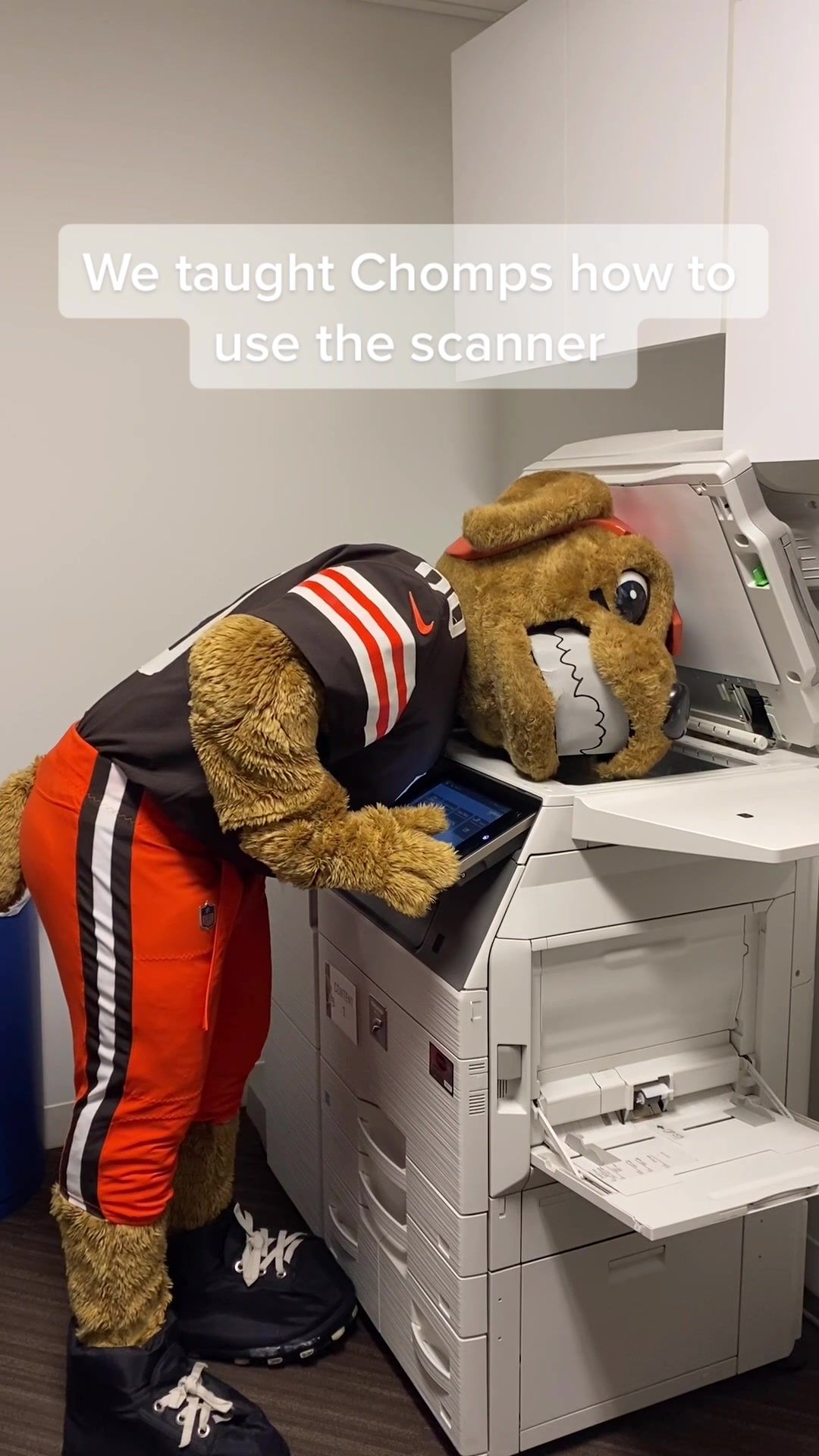 Video post by @browns on TikTok