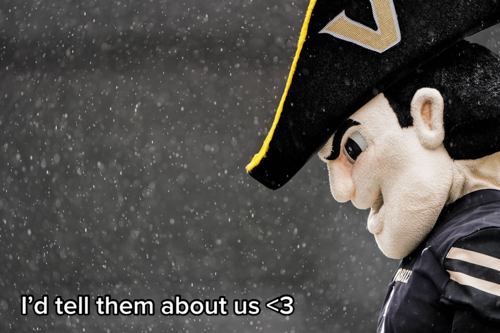 Image post by @anchordown on TikTok