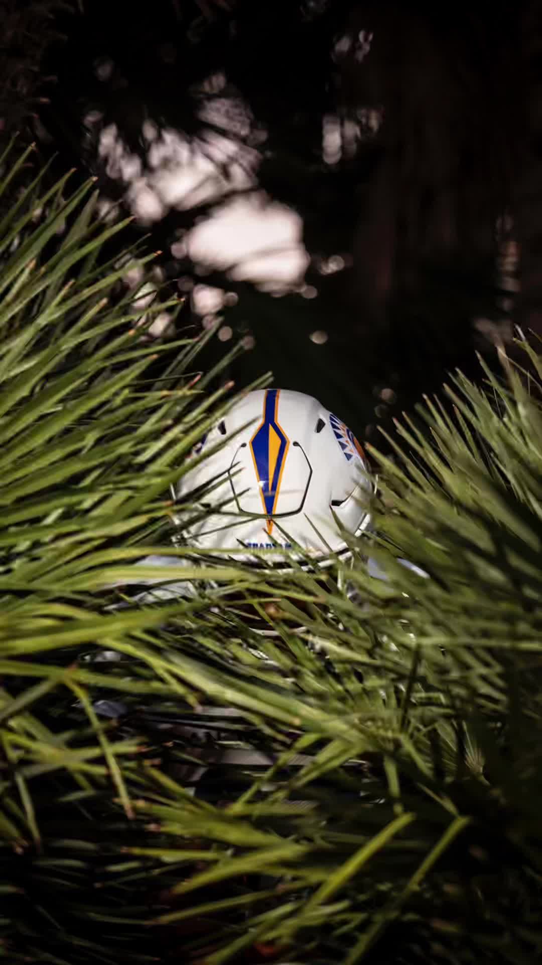 Video post by @sanjosestatefb on TikTok