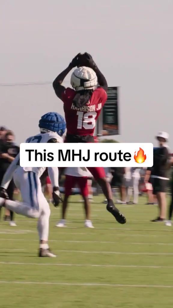 Video post by @nflonprime on TikTok