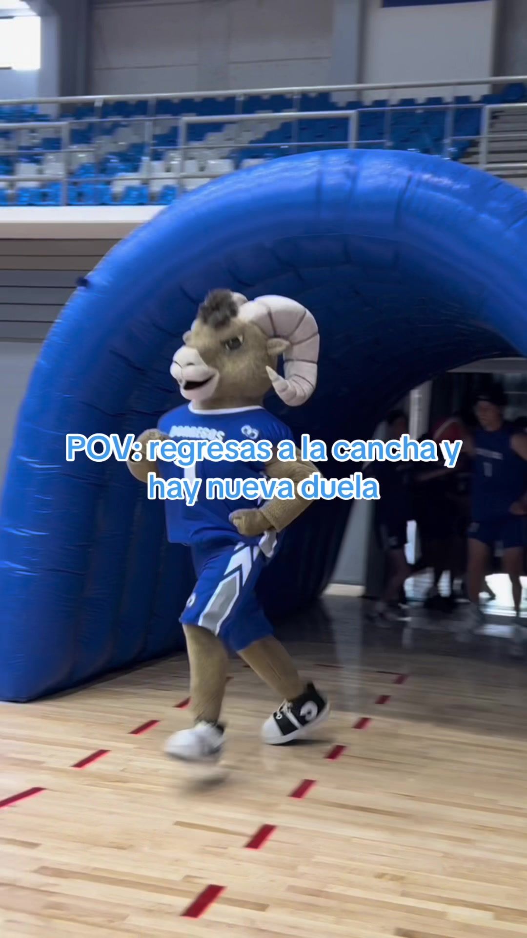 Video post by @borregostec on TikTok