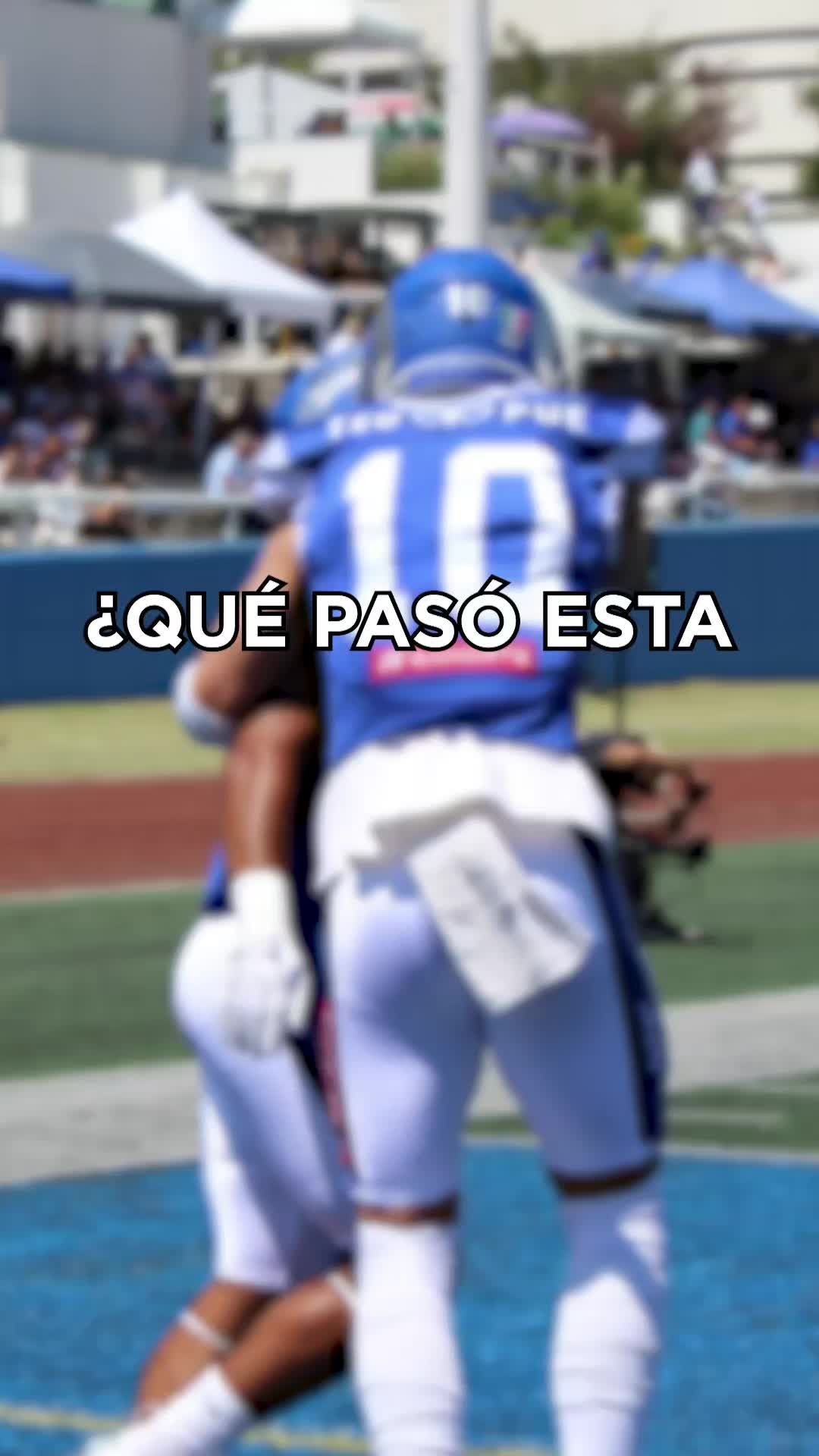 Video post by @borregostec on TikTok