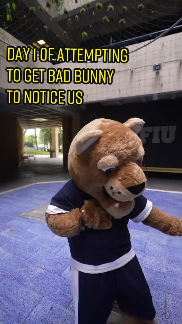 Video post by @fiutiktok on TikTok