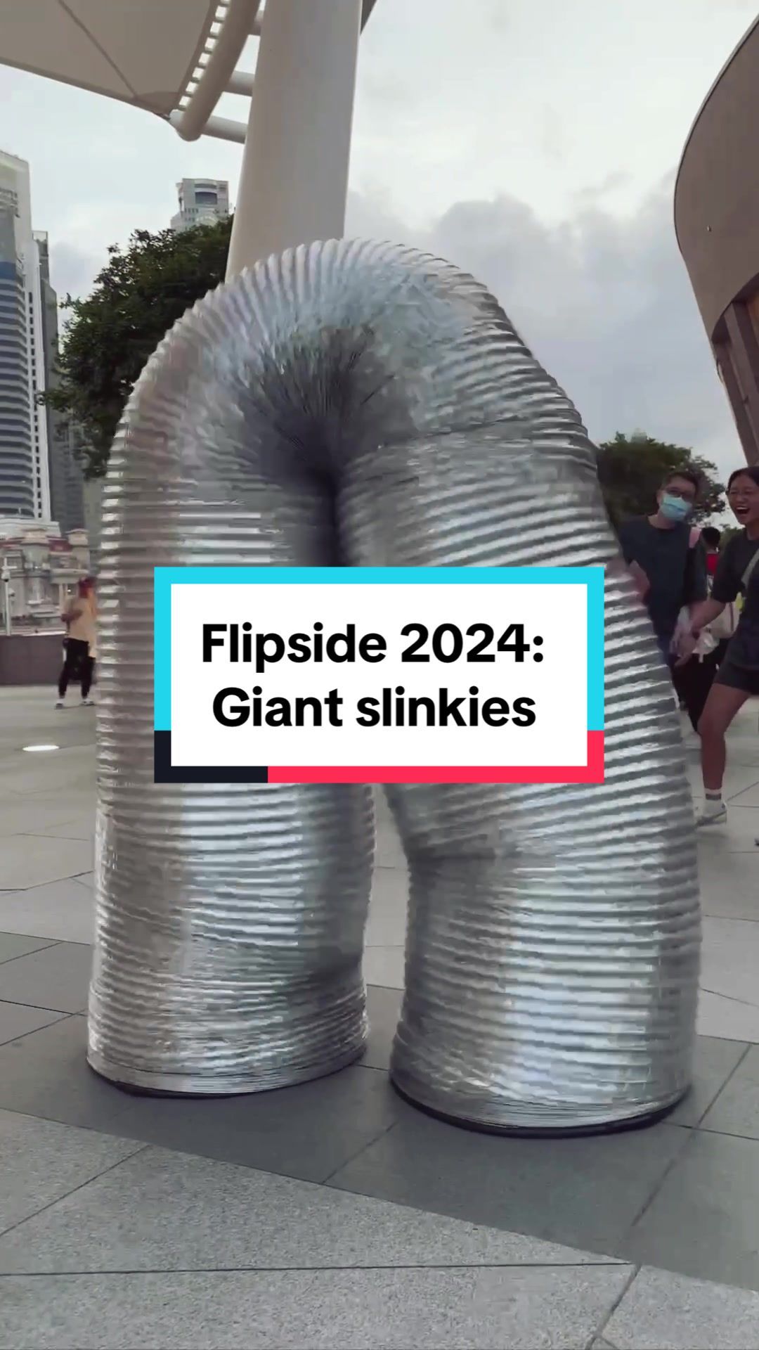 Video post by @esplanadesg on TikTok