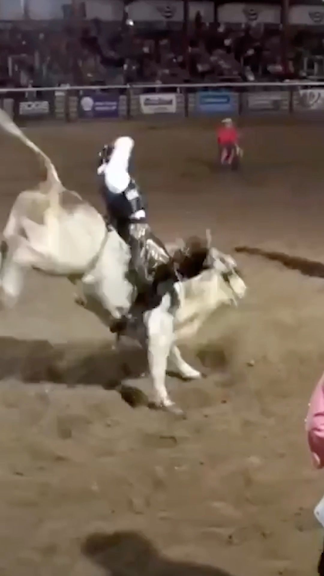 Video post by @PRCAProRodeo on Facebook
