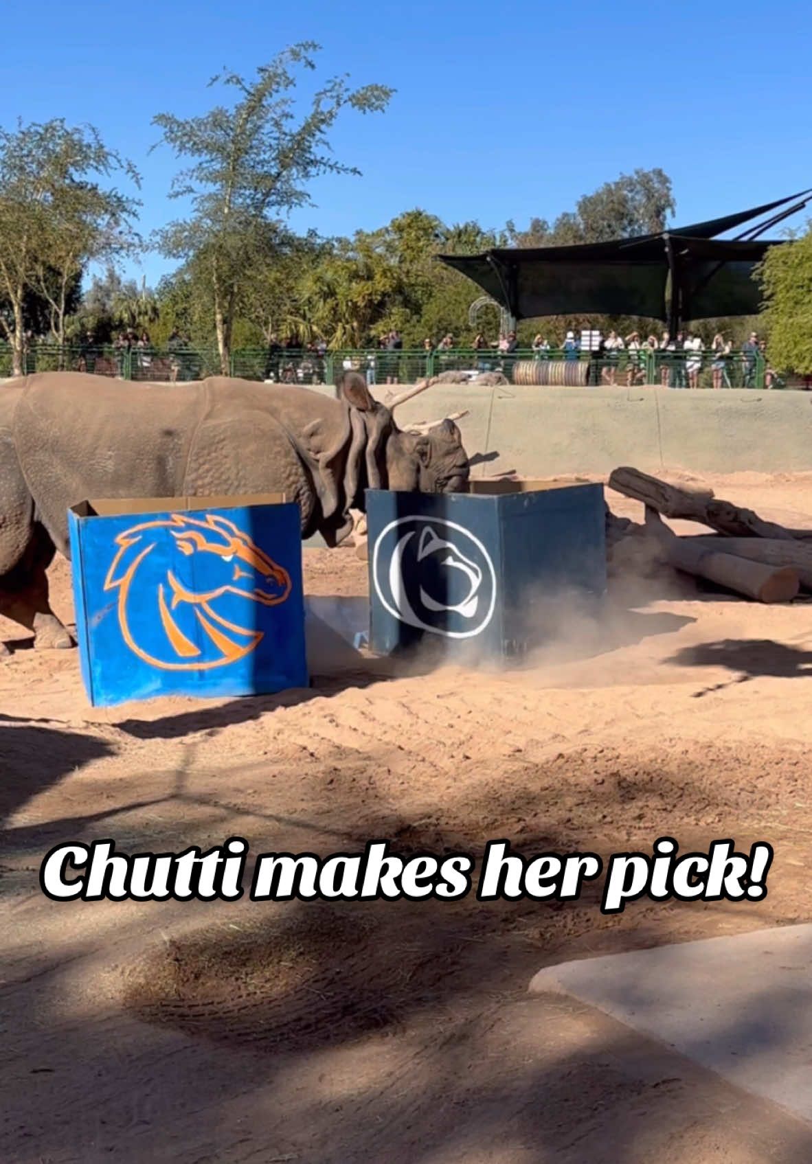 Video post by @fiestabowl on TikTok