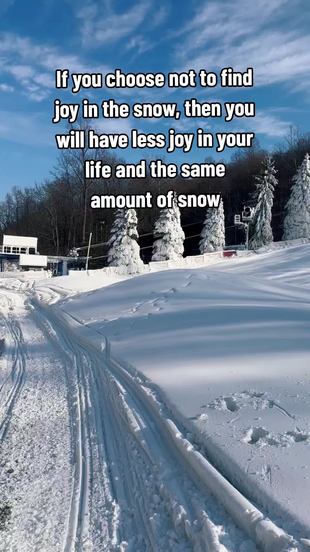 Video post by @shawneemountain on TikTok