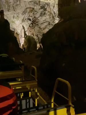 Video post by @ on TikTok