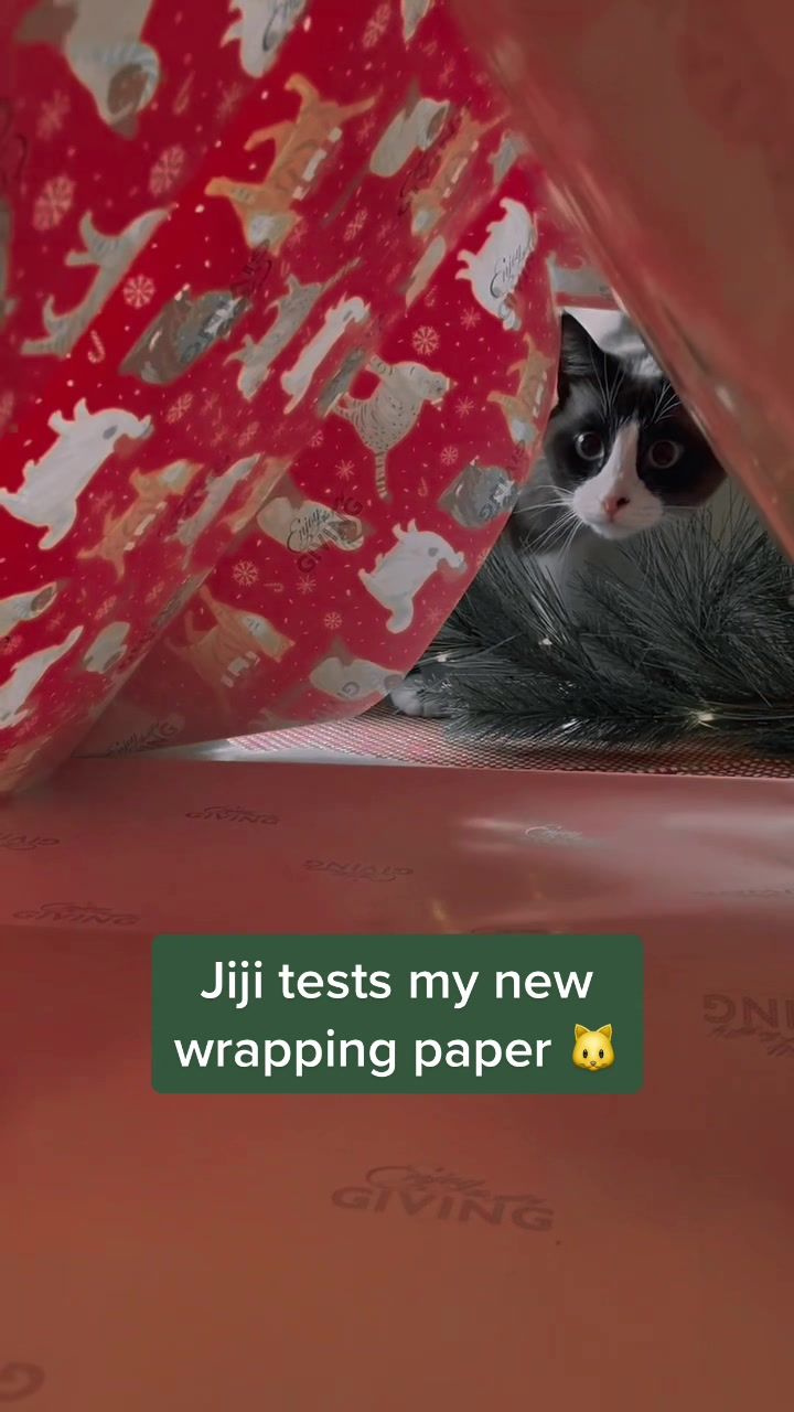 Video post by @amazon on TikTok