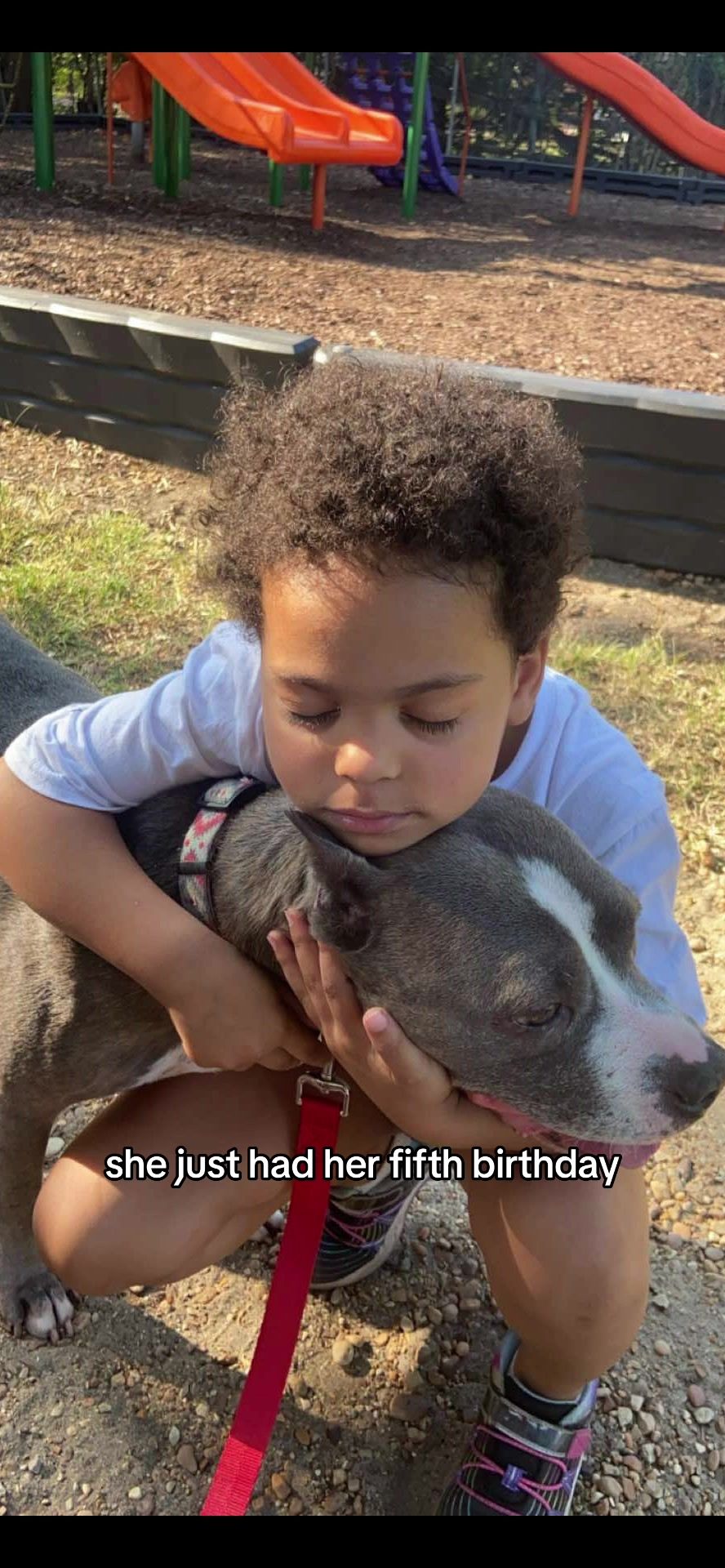 Video post by @livelikeroofoundation on TikTok