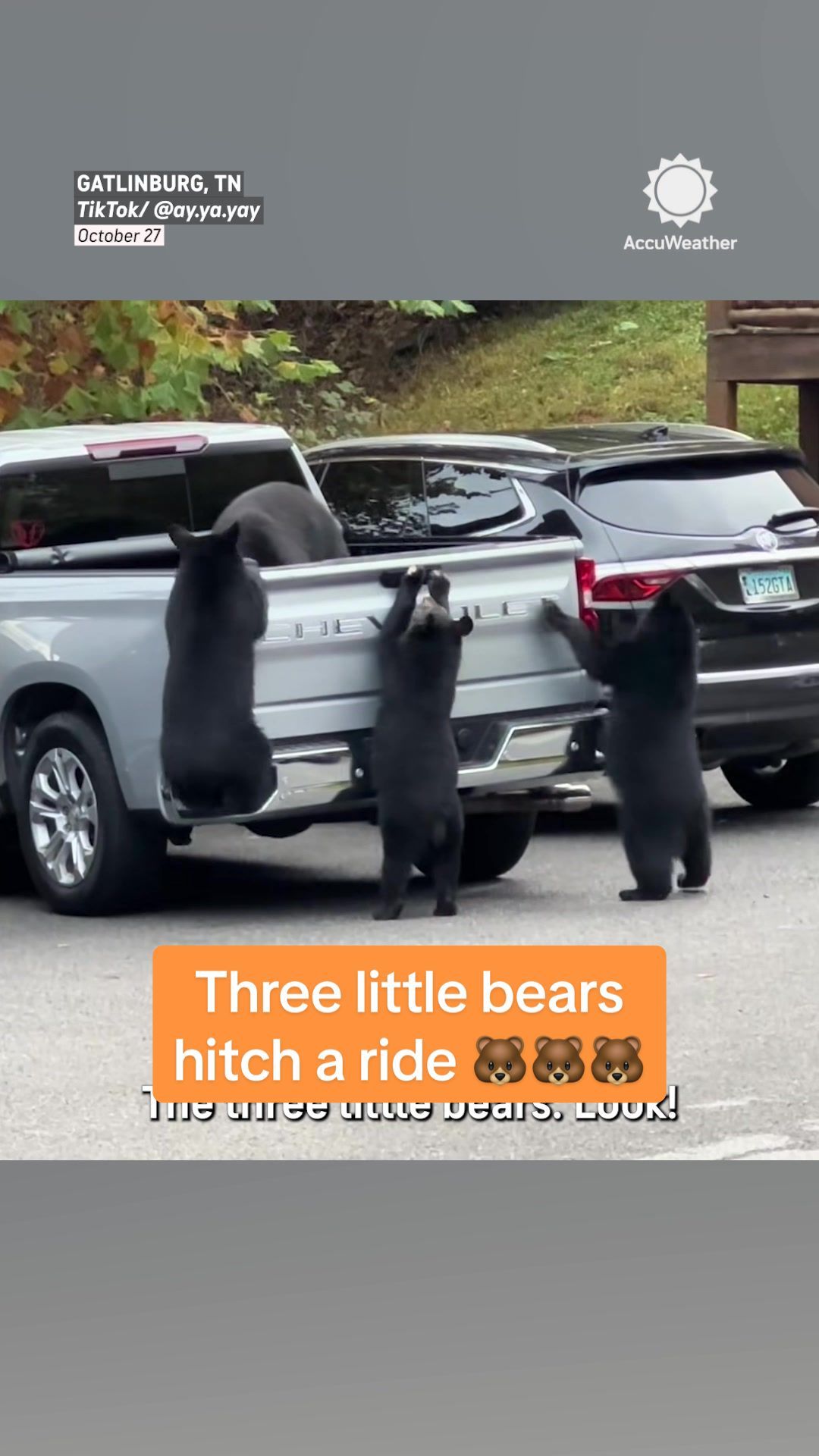 Video post by @accuweather on TikTok