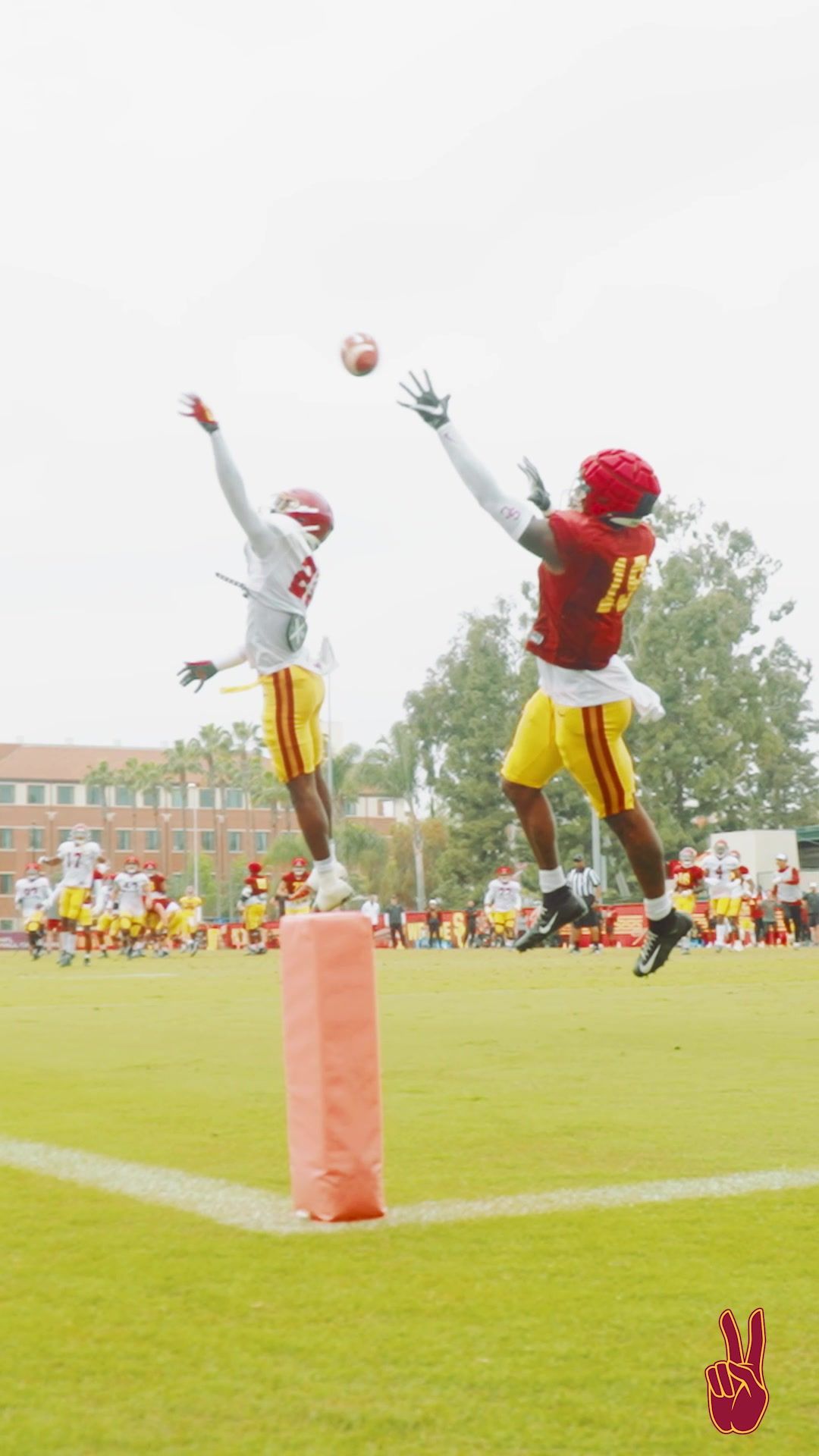 Video post by @uscfb on TikTok