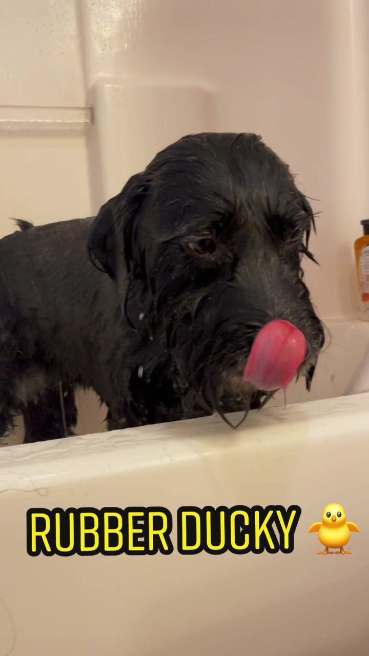 Video post by @jordankahana on TikTok