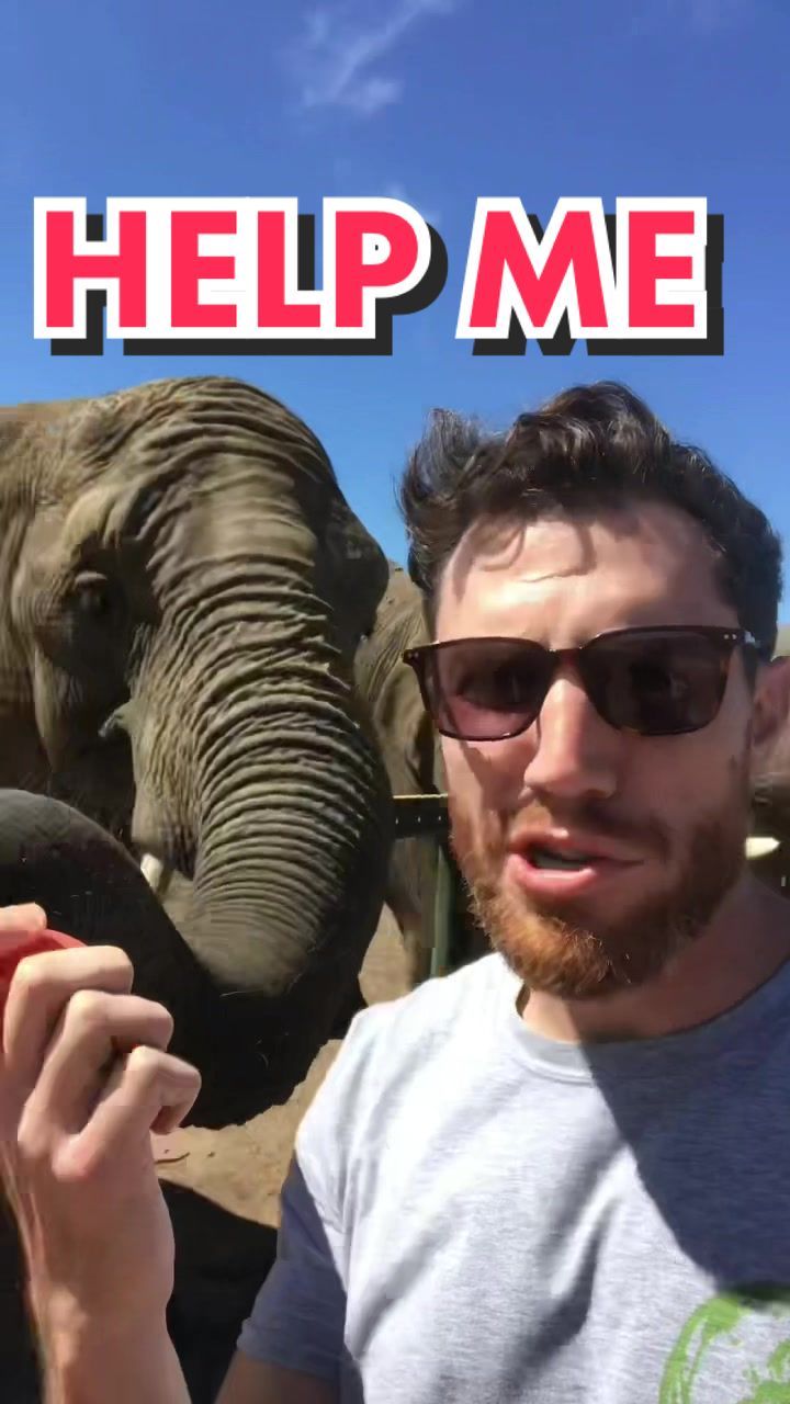 Video post by @jordankahana on TikTok