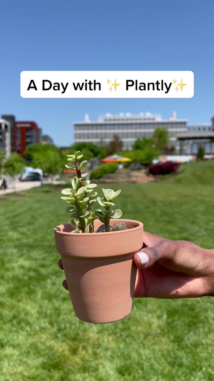 Video post by @miraclegro on TikTok