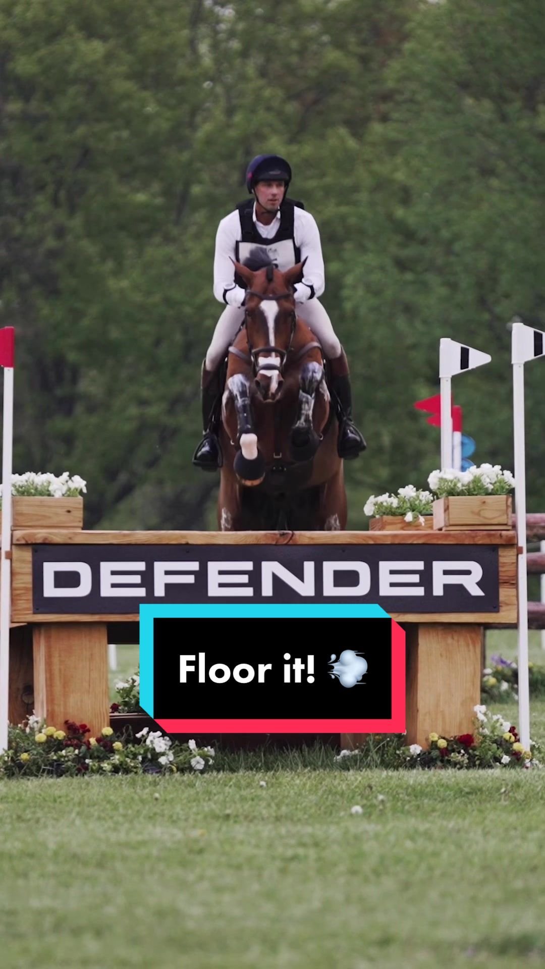 Video post by @usequestrian on TikTok