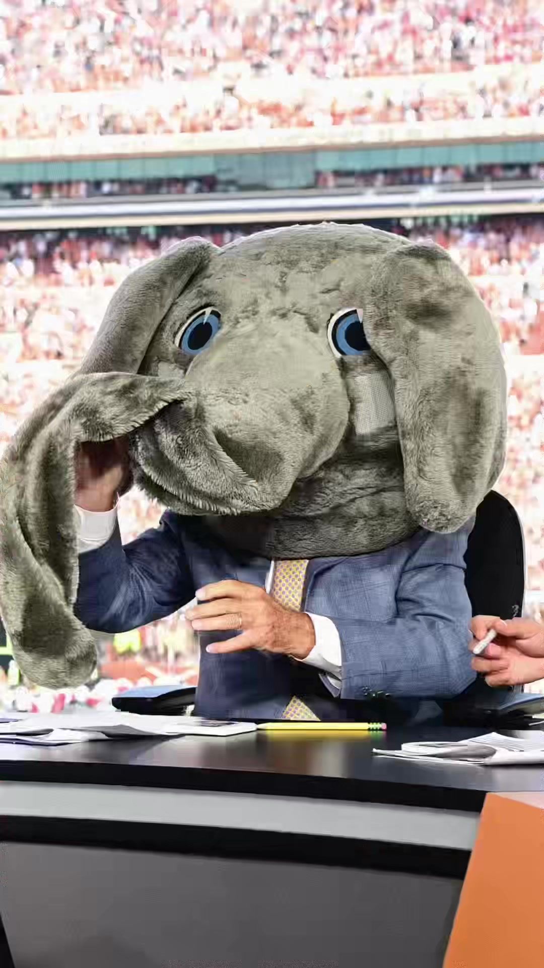 Video post by @collegegameday on TikTok