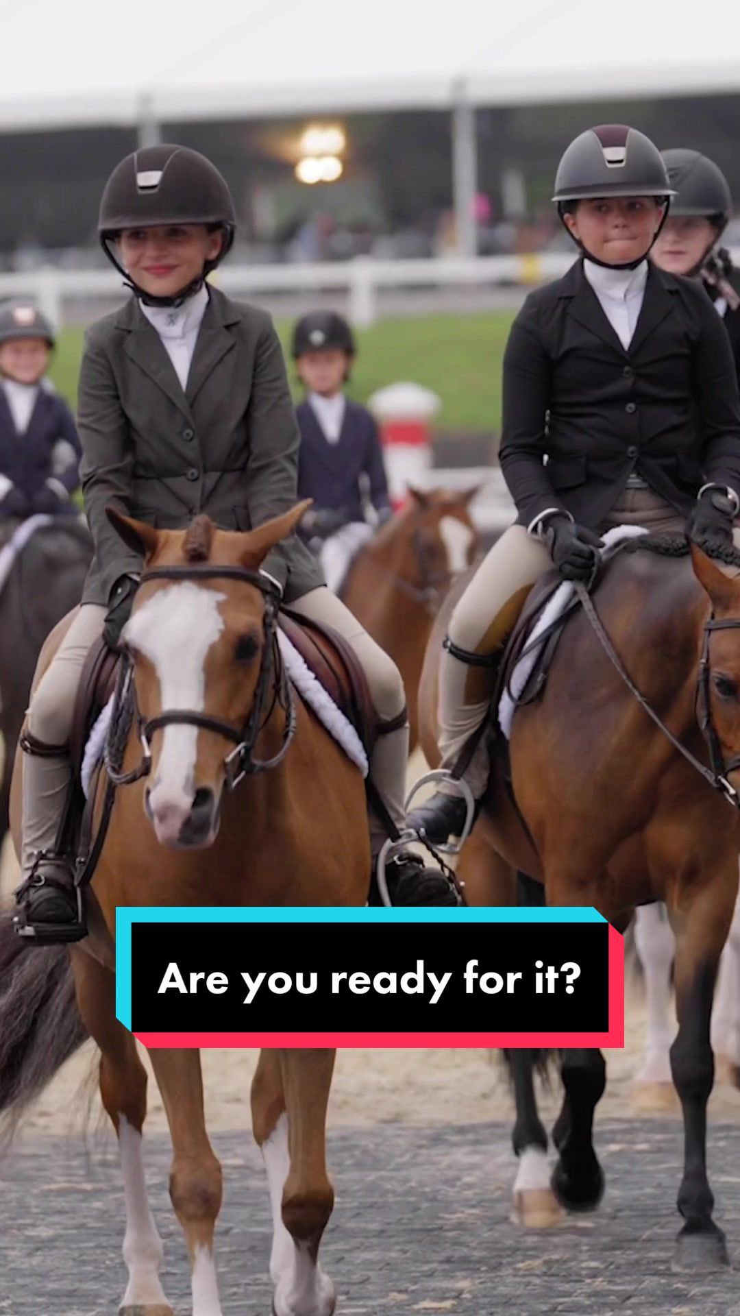 Video post by @usequestrian on TikTok