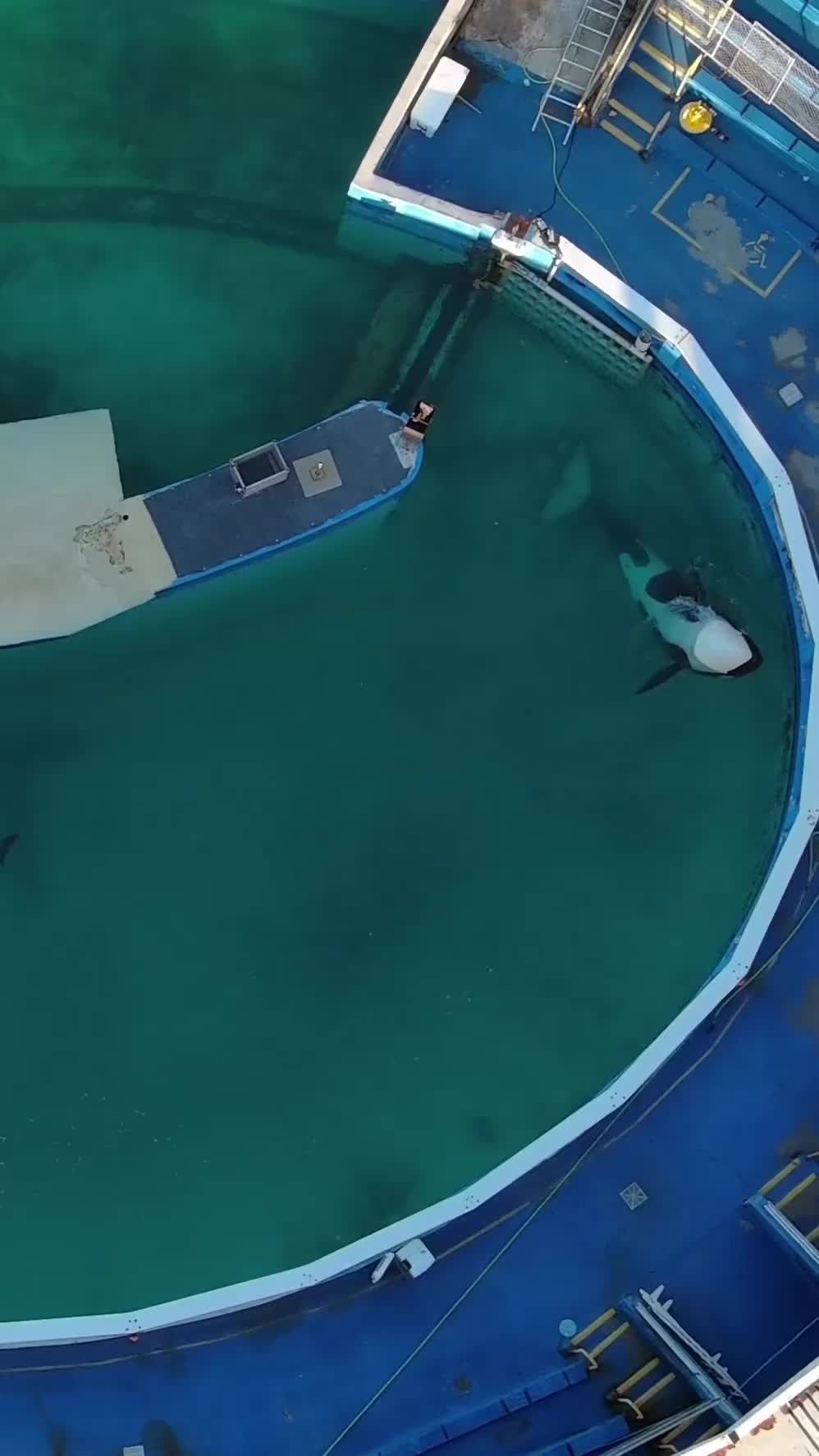 Video post by @femieble on TikTok