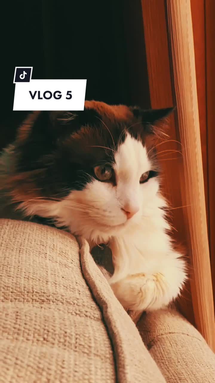 Video post by @riz.com on TikTok