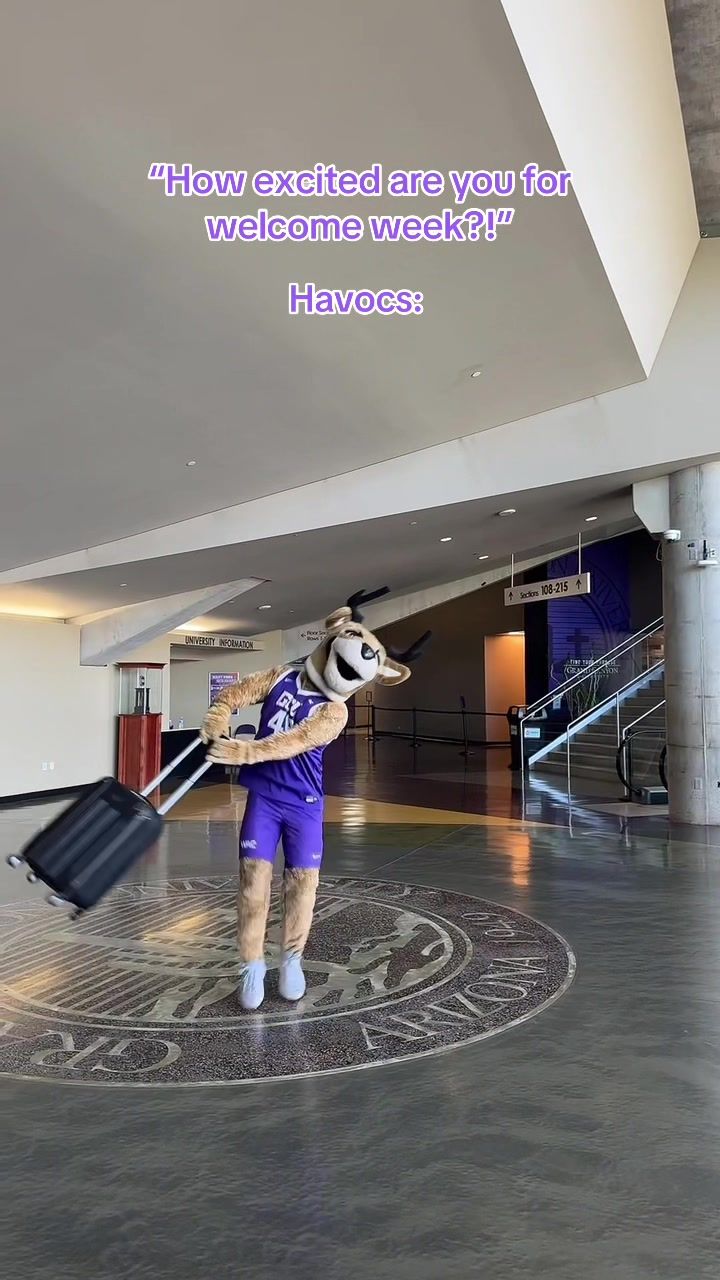 Video post by @gcuhavocs on TikTok